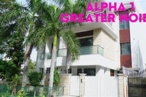 Plots In Sector Alpha-2 Greater Noida